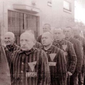 8/ ...Most of these men served time in regular prisons, and an estimated 5,000 to 15,000 of those sentenced were incarcerated in Nazi...