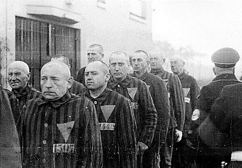 11/ Homosexuals in the camps were treated to an unusual degree of cruelty by their captors.After the war, the treatment of...