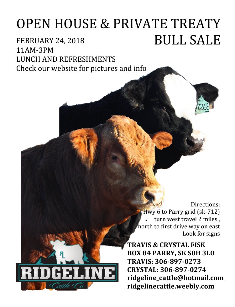Be sure to check out our offering of Red and Black Simmental bulls.
