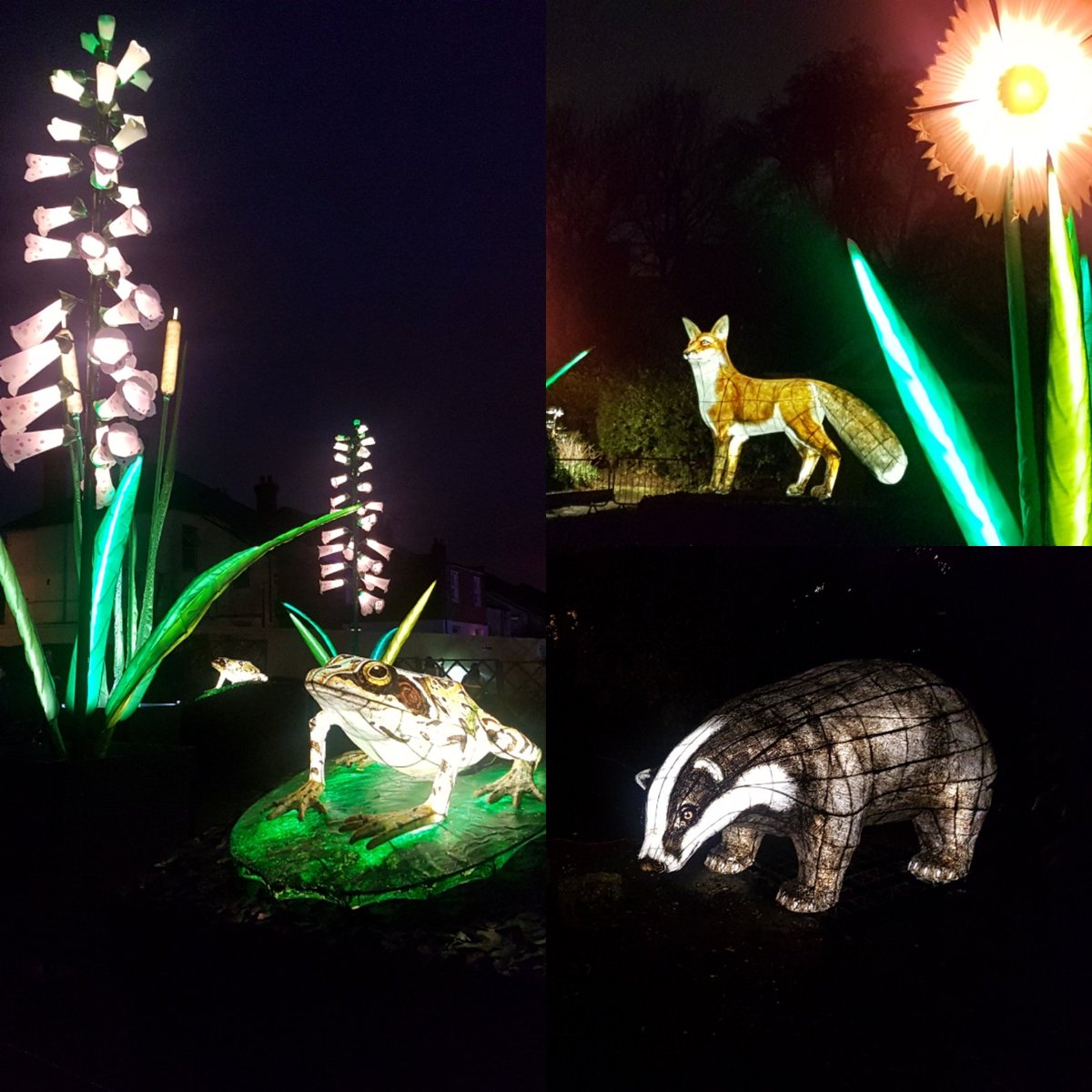 CroydonNbrhoods's tweet photo. RT @HMCW2011 Some lovely displays down at Trumble Gardens for the #THLF Glad the rain stopped!! @cultureCR7 #ThorntonHeath #Croydon https://t.co/6uqQd5uUzU
