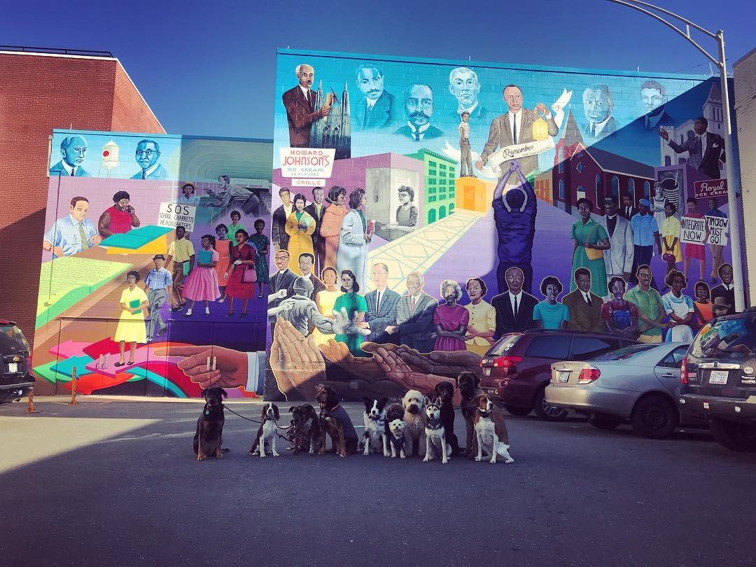 so fetch k9 adventures