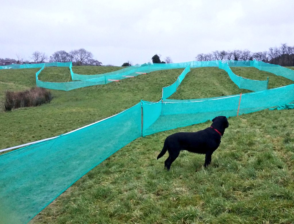 Massive KUDOS to the build team today. Mega appreciated ! <a href="/Y8SYS/">Brian Yates</a> @Edwards_JL @gmckellar2411 <a href="/peterferrier09/">Peter Ferrier</a> #DoraTheDug 
<a href="/superquaich/">Super Quaich</a> <a href="/Walkers_CC/">WalkersCyclingClub</a>