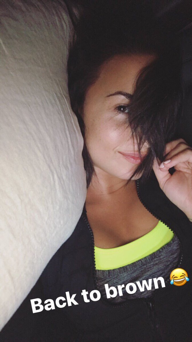 lovaticsilysm's tweet photo. i know you were trouble trouble trouble #iHeartAwards #CutestPet #Batman https://t.co/LzWQvHYt87