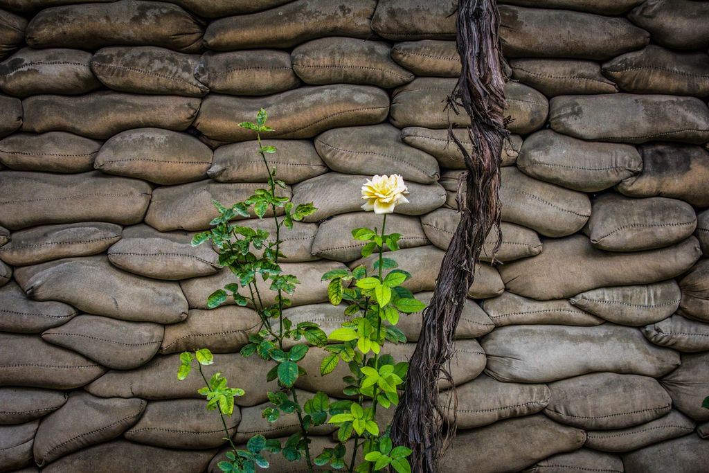 Uncharted Intl tweet media