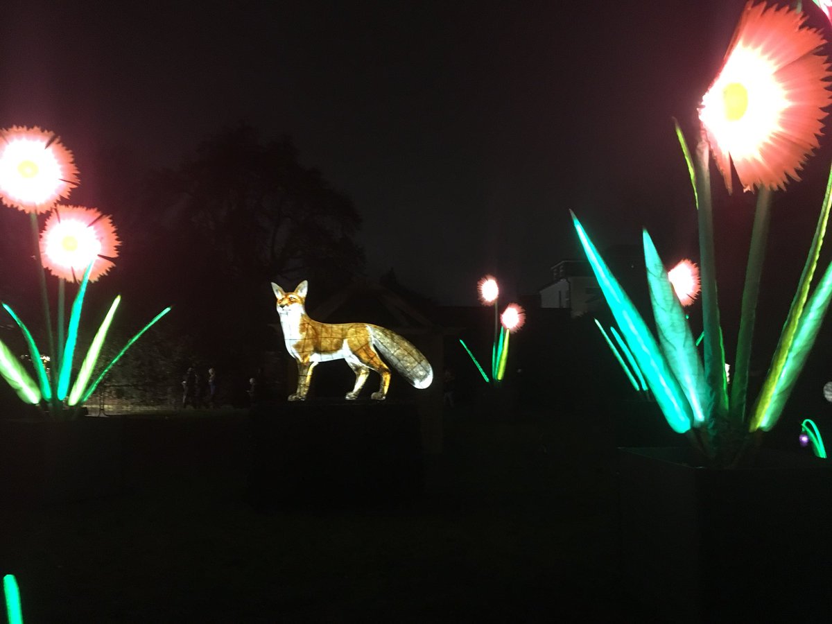 leepster's tweet photo. Feeding giant flamingos. Fantastic foxes under bright pink flowers.. Saturday night in #ThorntonHeath. #THLF #croydon #Local https://t.co/B3H4IdJBdB