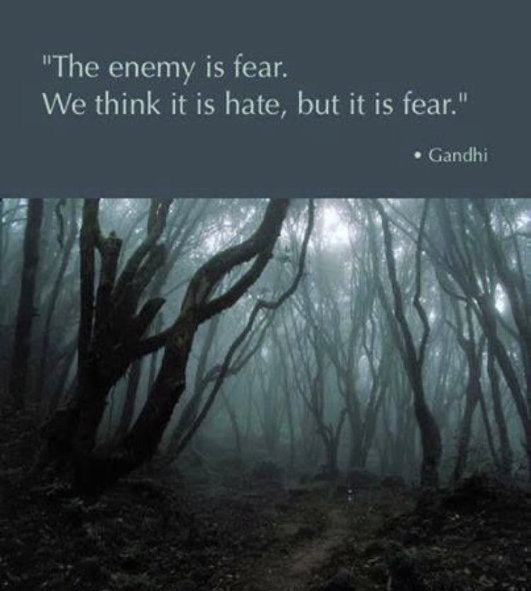 Kaylash246's tweet photo. The enemy is fear. #fear #light #gandhi https://t.co/me3qXVwH20