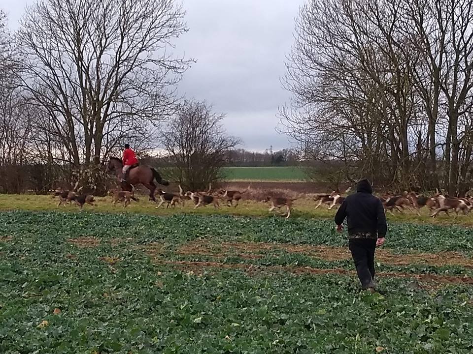 Nottingham Hunt Sabs spoil the <a href="/belvoirhuntsman/">John Holliday</a>'s day
ow.ly/dr0830i2kDj