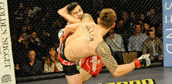 sherdogdotcom's tweet photo. Video & pictures: Two new champions crowned at #LFA32 https://t.co/JEvZWlf3Mx via @lfafighting @axstvfights https://t.co/HNtuqCdMEQ
