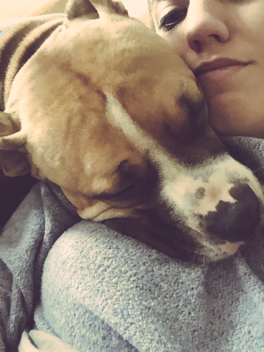 SBSwags's tweet photo. This dog. 😍 https://t.co/kU8tPaPl3X