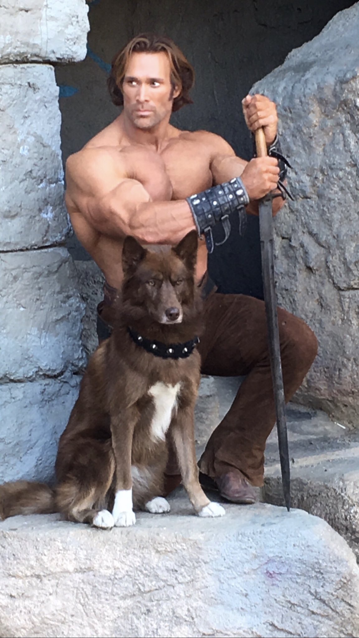 Mike Titan O’Hearn on Twitter: “@Shadbeast @RealDealMada @BigTyDIESEL