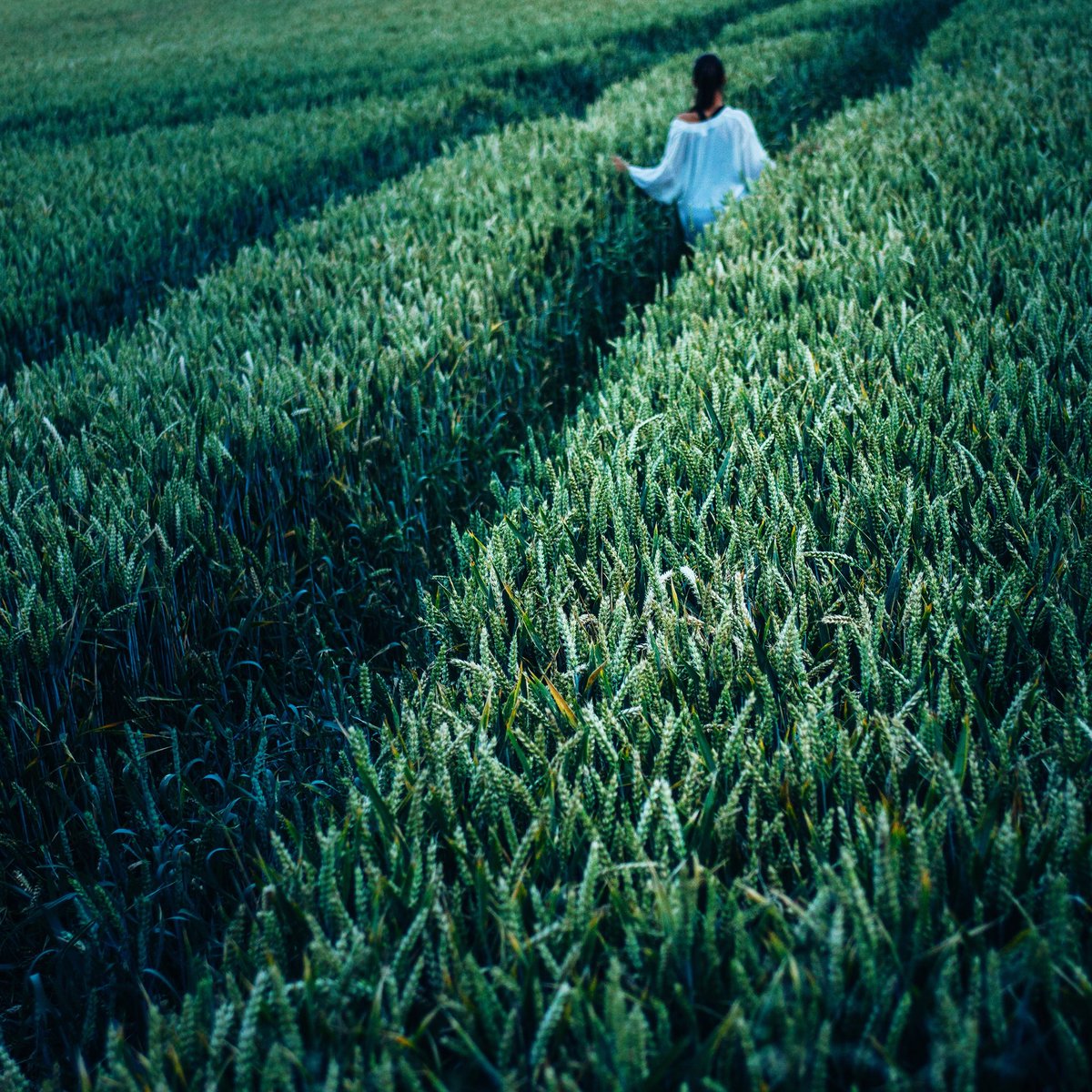 No tengas miedo a perderte. El camino correcto casi nunca es el más divertido. #LiveTheNow #atrévete #daelpaso