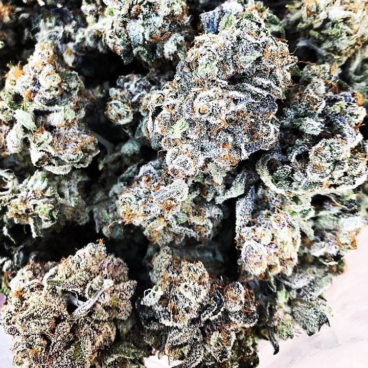 BCChronicInc's tweet photo. #ogkush #purplepunch #Kelowna #okanaganlifestyle #bcchronic #bigbuds #chronicpain #healingcrystals #weedporn #canada #weed We are growing for The world to enjoy! #2018goals https://t.co/Aossl4xDrA