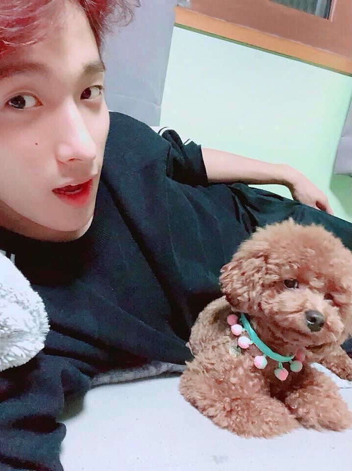 seokminfreckle's tweet photo. https://t.co/6ZSBLSl38u