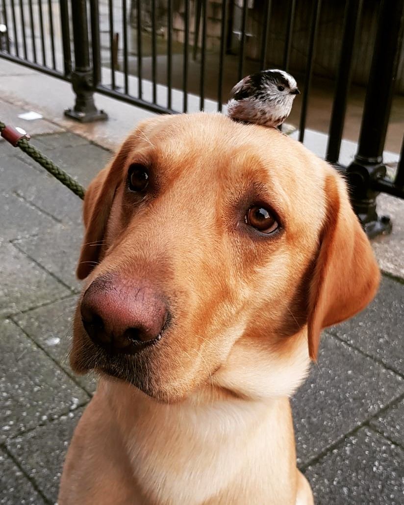 DogSolutions's tweet photo. mysterious of life; what you cannot know? Perhap you do look where you have not https://t.co/ic2k0d8Dta