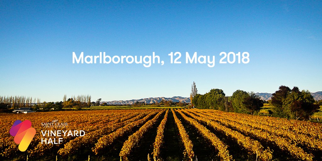 vineyardhalf's tweet photo. Can you even call it hard work when this is the view? Ladies and gentleman, introducing your course for the Saint Clair Vineyard Half Marathon​👇🏽❤️🍂 #vineyardhalf #saintclairwine #nzwine #halfmarathon #onlymarlborough https://t.co/XphOo9YmrG