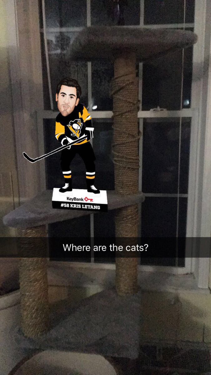 shaffer_derek's tweet photo. Cats or catfish doesn’t matter, we can handle it all. #PensLens #DoitforTanger https://t.co/tRF6K9cqJo