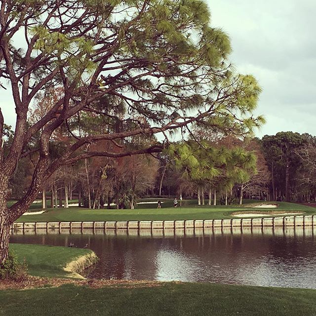 Copperhead Course at beautiful Innisbrook Resort. Home of the Valspar Championhip. The PGA Tour will be here in early March. #innisbrookresort #pgatour #thesnakepit ift.tt/2FjVXYv