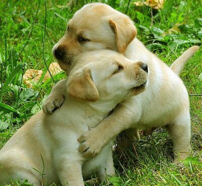 <a href="/DebbieZimmer54/">Debbie</a> Thank you dear Debbie💖😀😍😘🌹🌹🌹