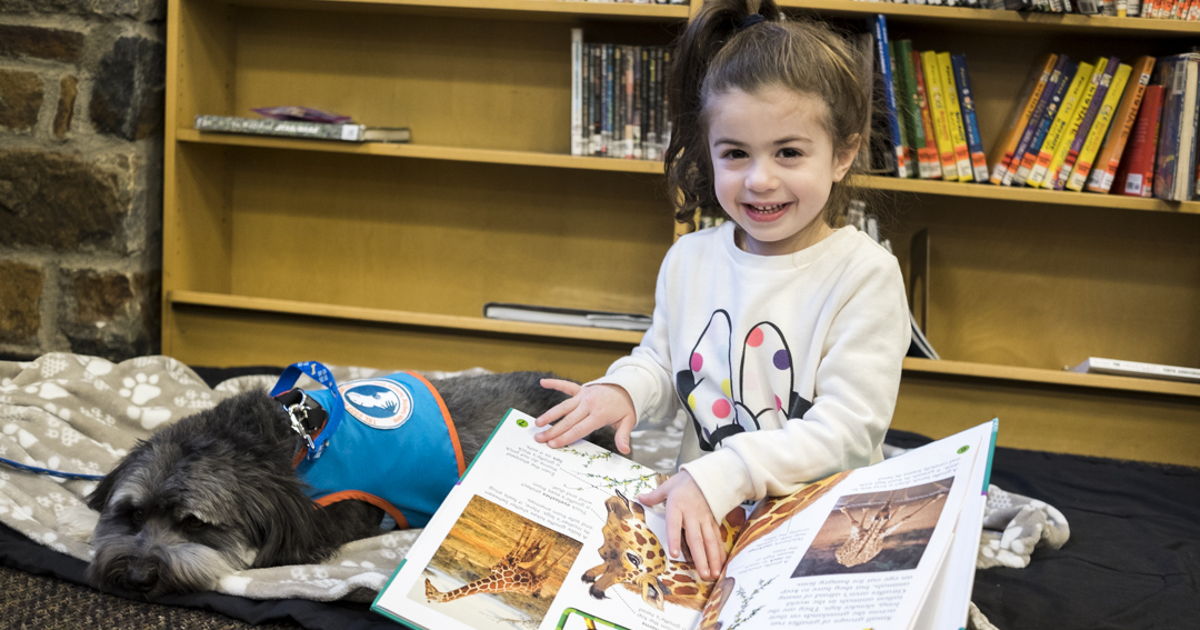 ChickenSoupPets's tweet photo. Meet Tobie, The Therapy Dog Giving Kids The Confidence To Read https://t.co/GmpiJTkgza https://t.co/8J3XCLwVlx