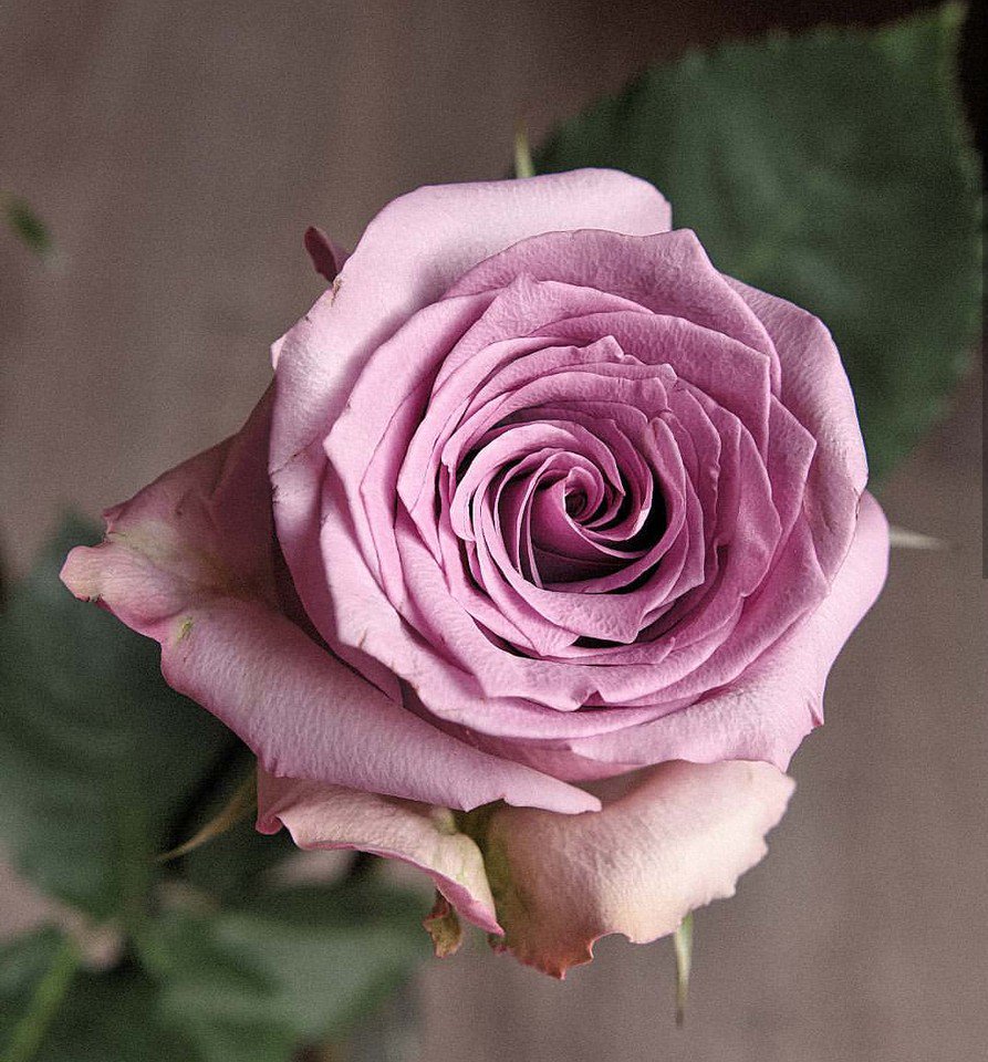 KhaledHamidi8 tweet picture