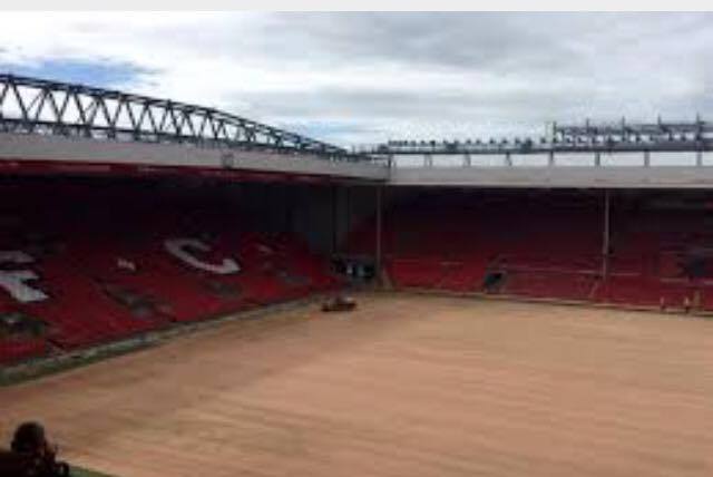 BenchWarmers tweet media