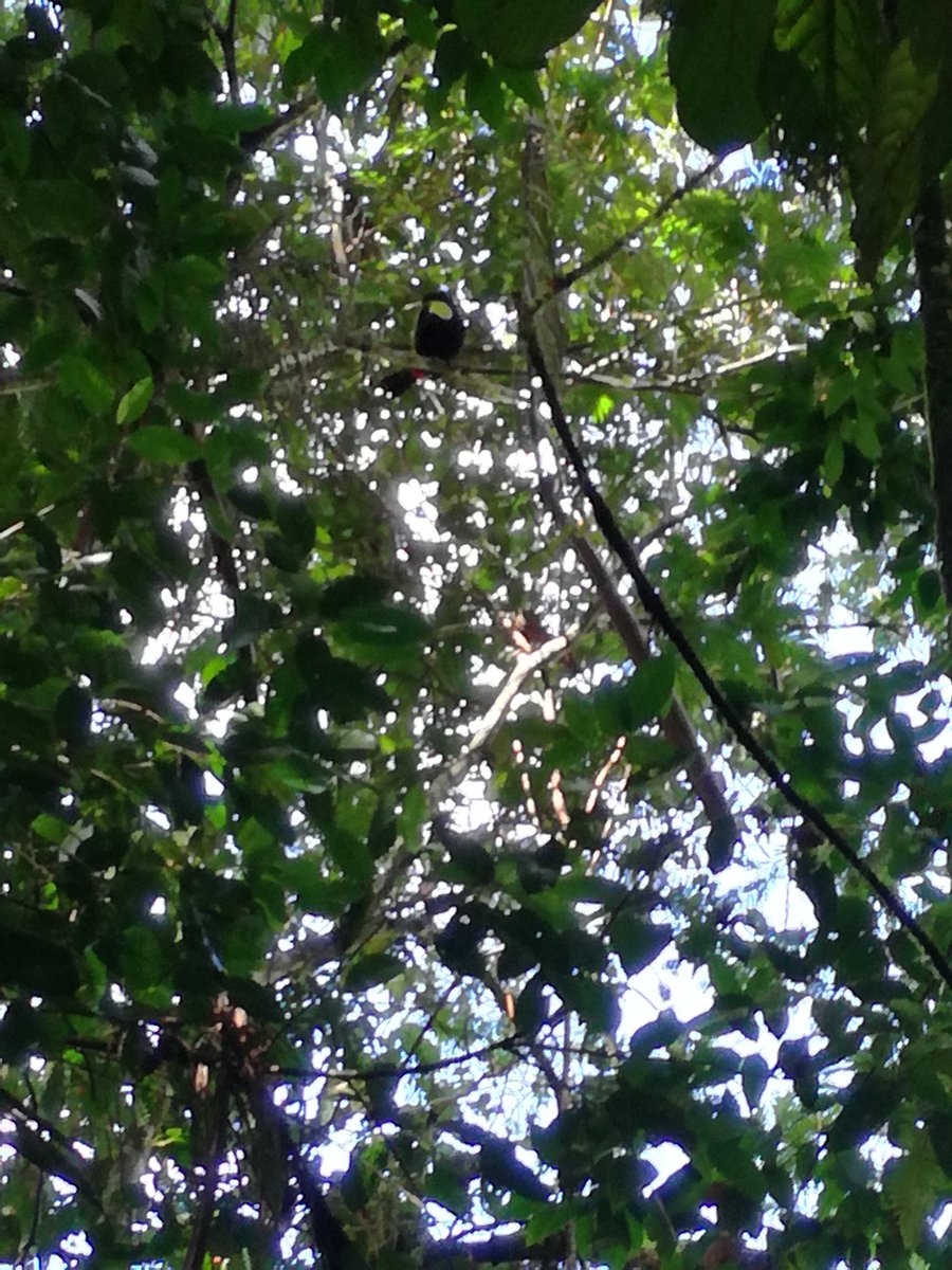 gerritdew10@gmail.co tweet media