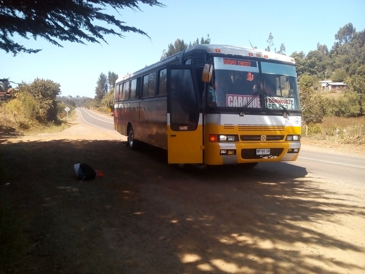 ilegal_y's tweet photo. Faloperos de antaño...
@GobiernodeChile nos pakiaste el sistema con la caga de Transantiago, vuelvan hacerlo los vamos a reventar a todos los Giles culiaos del parlamento. Ilegales netos!! https://t.co/IZ40vXW2Bv