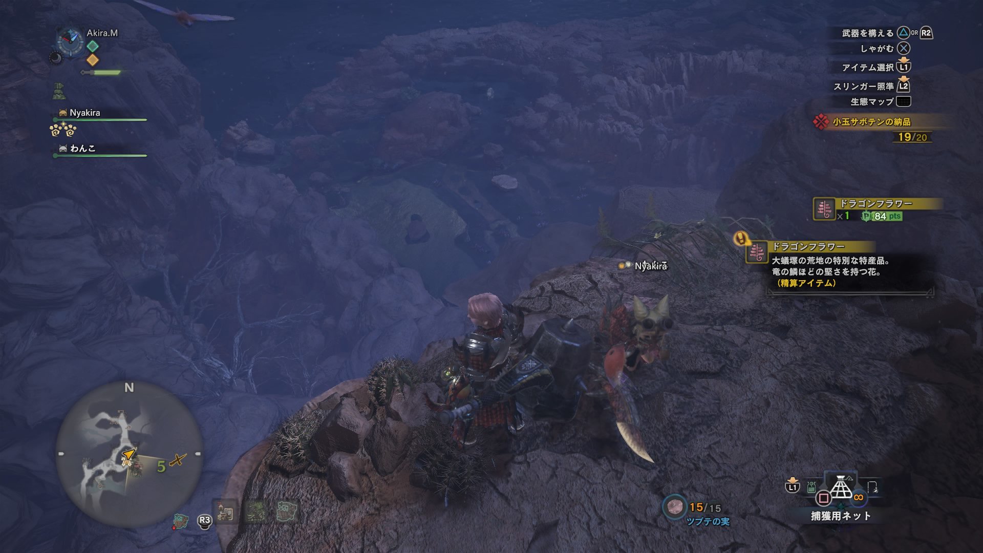 アキラ ドラゴンフラワーって食材なのね ºwº ﾀﾍﾞﾙﾉｶ Mhw モンハンワールド T Co Gex7o3bqox Twitter