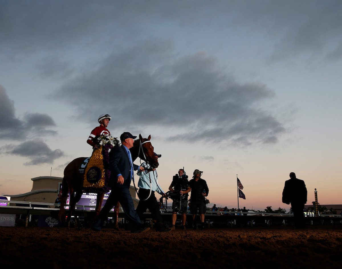 BreedersCup's tweet photo. Cheers 🥂 to an incredible career and a happy retirement Gun Runner. 

Photos: @EclipseSports https://t.co/BW6qAK4BHD