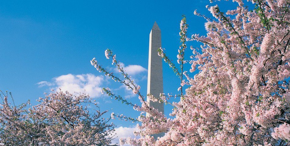 Randbreloaded's tweet photo. Easter plans in the capital with “Soul Night's Love N Hope Easter Gospel Brunch" https://t.co/s1SybXz2A6 #WashingtonDC #DMV #Maryland #Virginia #Travel #EasterHoliday #brunch #food #dceat #loveNHope #music #faith #Inspiration  #love #hope https://t.co/cGUVDEQGMJ