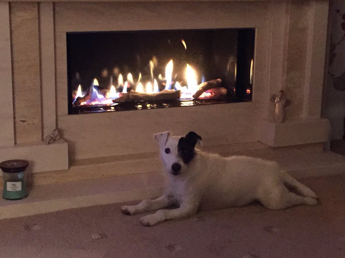ParsonWinny's tweet photo. Can’t beat this new fire 🔥
#happyasapigin ...... https://t.co/v4iHOuSWH7