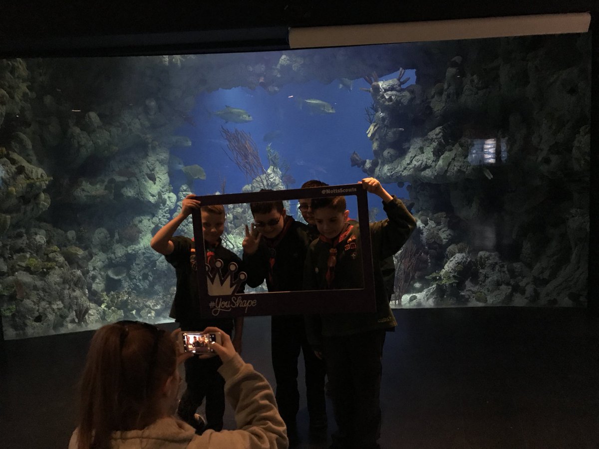 BassetlawScouts's tweet photo. Nice to see @BassetlawDYC hard at work! We’re at @thedeephull with 150 #cubs for a sleepover #iscout https://t.co/11S49gDV1o