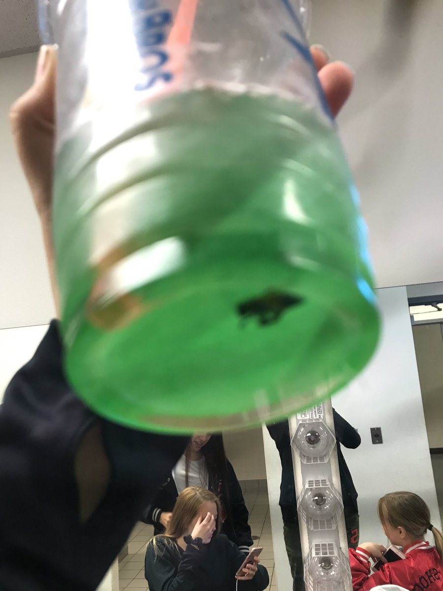 alexafig02's tweet photo. I️ didn’t see this on the menu🐝 @dutchbrosaz https://t.co/FzV6PvPUYl