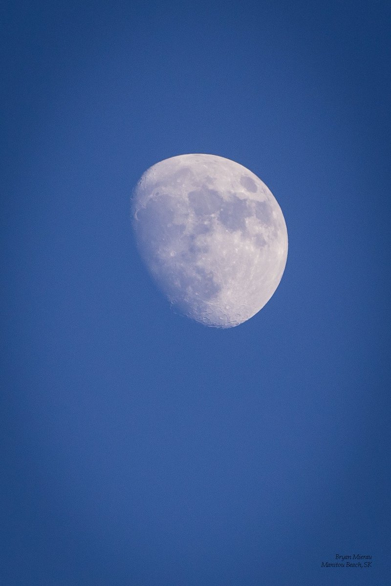 BryanMierau's tweet photo. The Moon Jan 27 #saskatchewan #manitoumoments #yxe #ExploreSask @prairiesnorth @GlobalSaskatoon #sasksnapshot @Sask411 @saskretweeter #explorecanada #imagesofcanada #tourismsask #canoncanada #canon6d #meanwhileinsask #deadseaofcanada #CBCSKWinter @PQuinlanGlobal https://t.co/3GwZxiBQGk