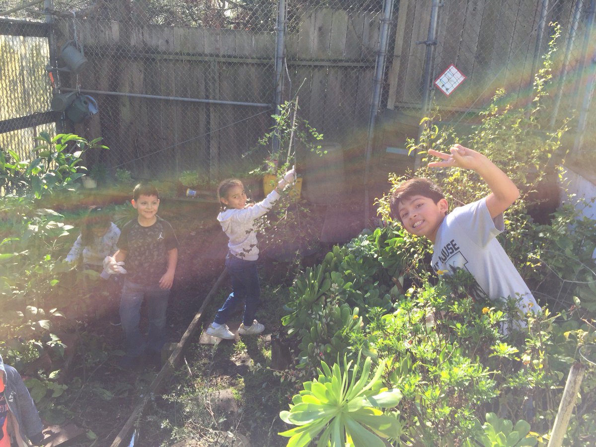 StJamesCathSch's tweet photo. Had a great Beautification Day today!
Getting ready for Open House &amp; Book Fair tomorrow @ 11:00am!
Family Mass at 9:30am!
All are welcome! https://t.co/U29GHspca8