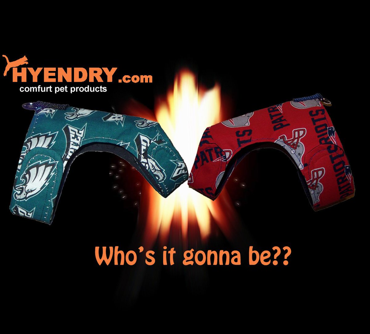 HyendryPet's tweet photo. Who are you rootin' for?? 
#SuperBowl2018 #superbowl #petgear #hyendry #bestcatharness https://t.co/rlO0myztdB