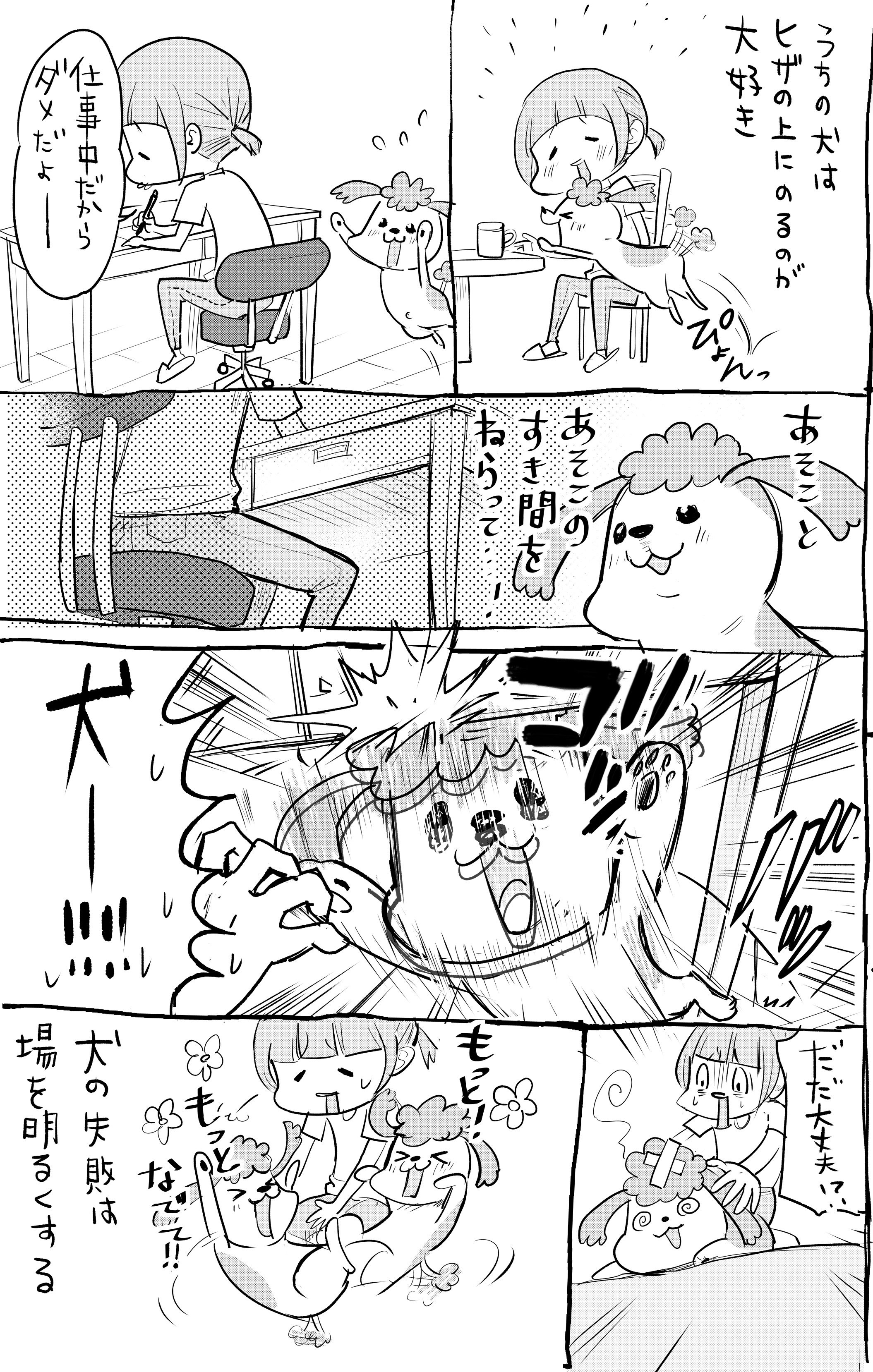 犬と猫では失敗した時のリアクションが違いすぎてワロタ Cupeポスト