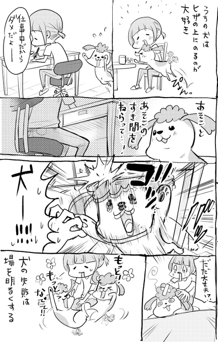 犬と猫どっちも飼ってると失敗の回収が真逆すぎて毎日たのしい 