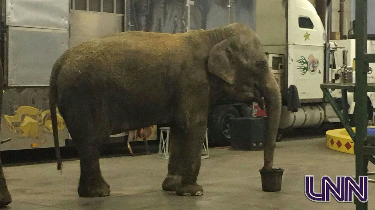 Lakewood News Network tweet media