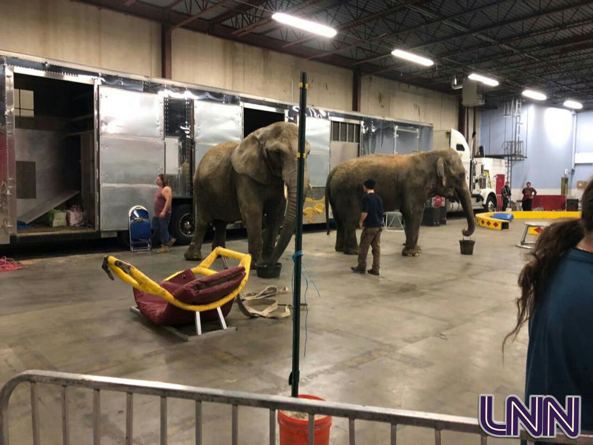 Lakewood News Network tweet media