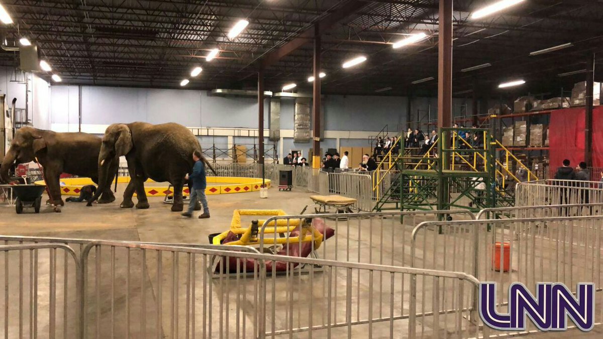 Lakewood News Network tweet media