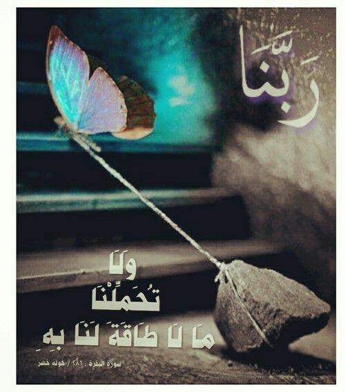 لا اله الاالله (@fathighoul19) on Twitter photo 
