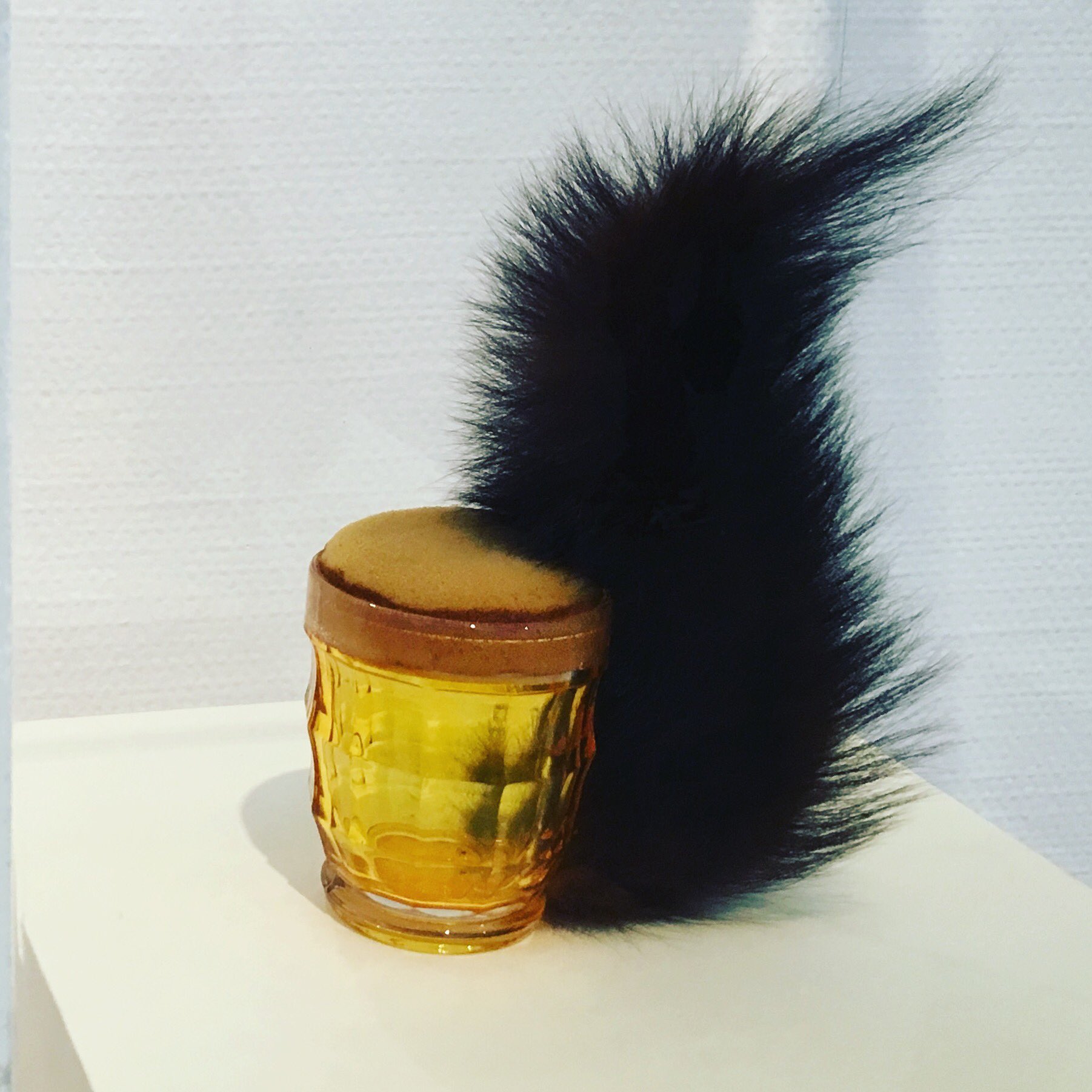 加茂健二 横浜美術館の 全部みせます シュールな作品 シュルレアリスムの美術と写真 うれしいことに撮影可 メレット オッペンハイムの 栗鼠 がかわいい 加茂健二 横浜美術館の 全部みせます シュールな作品 シュルレアリスムの美術と写真 うれしいことに撮影可 メレット オッペンハイムの 栗鼠 がかわいい
