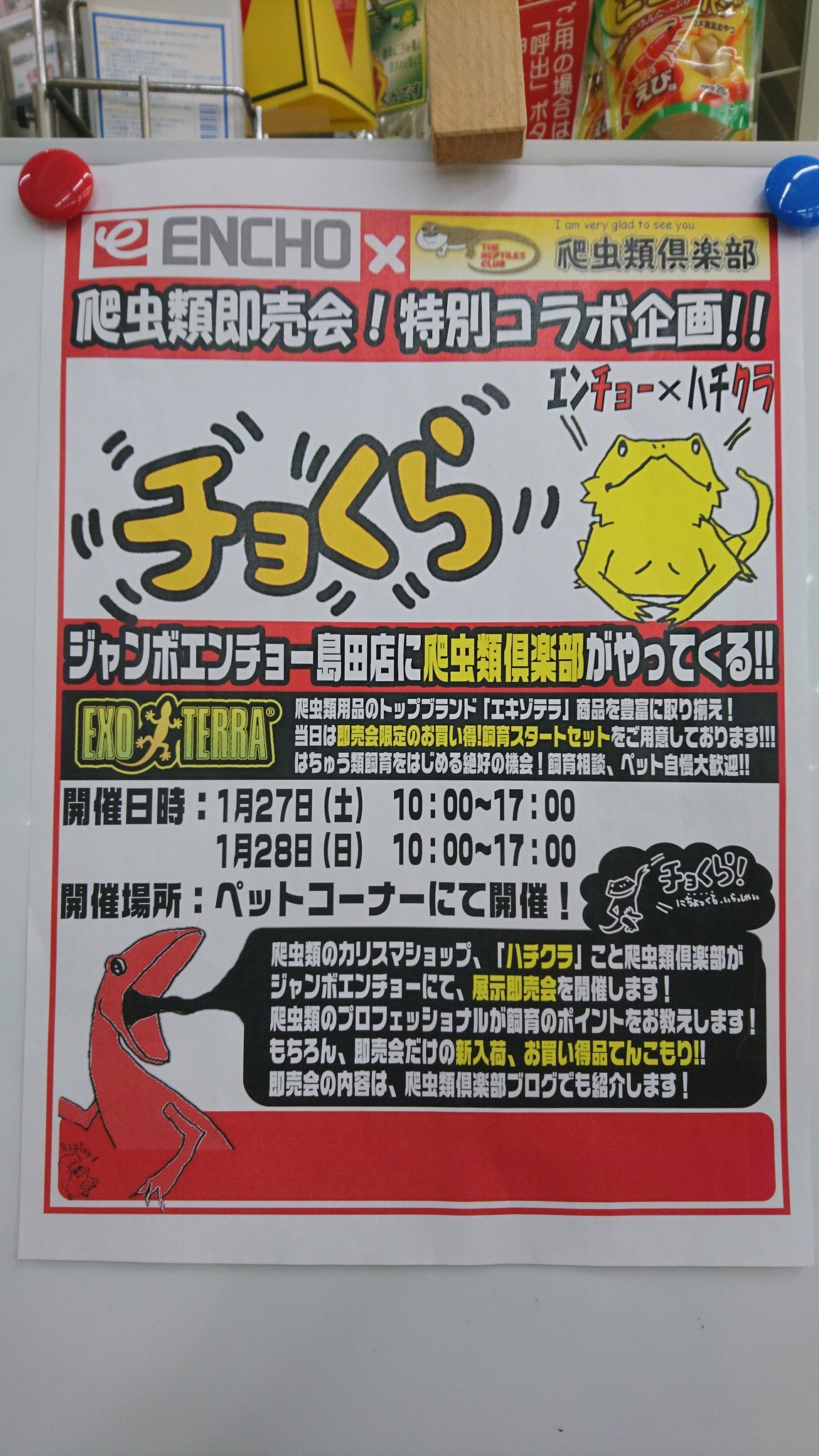 爬虫類倶楽部 ファーム チョくら ジャンボエンチョー島田店様 ラストデー始まりました いつも朝早くからのご来店 本当にありがとうございます 本日 17時まで開催中 そして 次回のチョくら開催決定 2 10 土 11 日 の2day T Co 爬虫類倶楽部 ファーム チョくら ジャンボエンチョー島田店様 ラストデー始まりました いつも朝早くからのご来店 本当にありがとうございます 本日 17時まで開催中 そして 次回のチョくら開催決定 2 10 土 11 日 の2day T Co