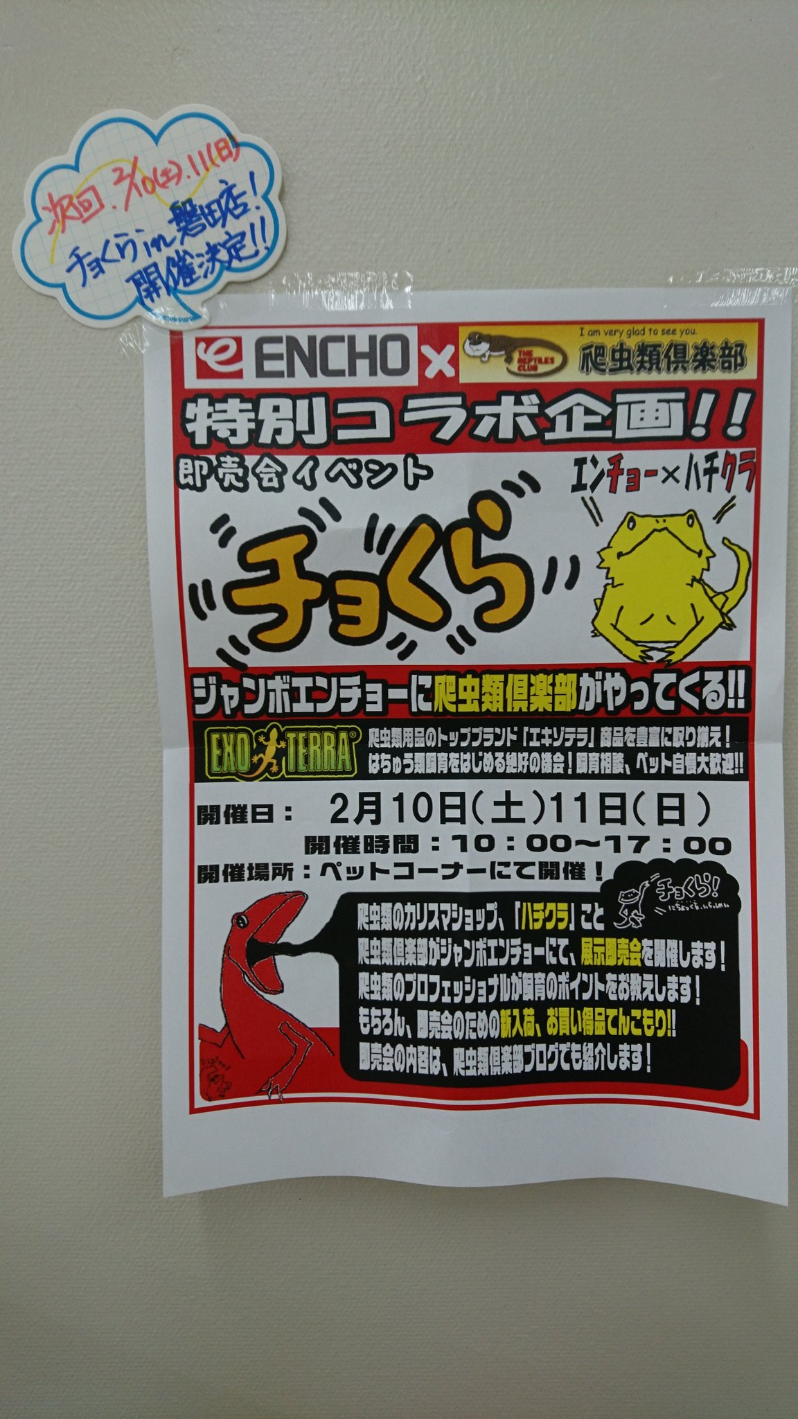 爬虫類倶楽部 ファーム チョくら ジャンボエンチョー島田店様 ラストデー始まりました いつも朝早くからのご来店 本当にありがとうございます 本日 17時まで開催中 そして 次回のチョくら開催決定 2 10 土 11 日 の2day T Co