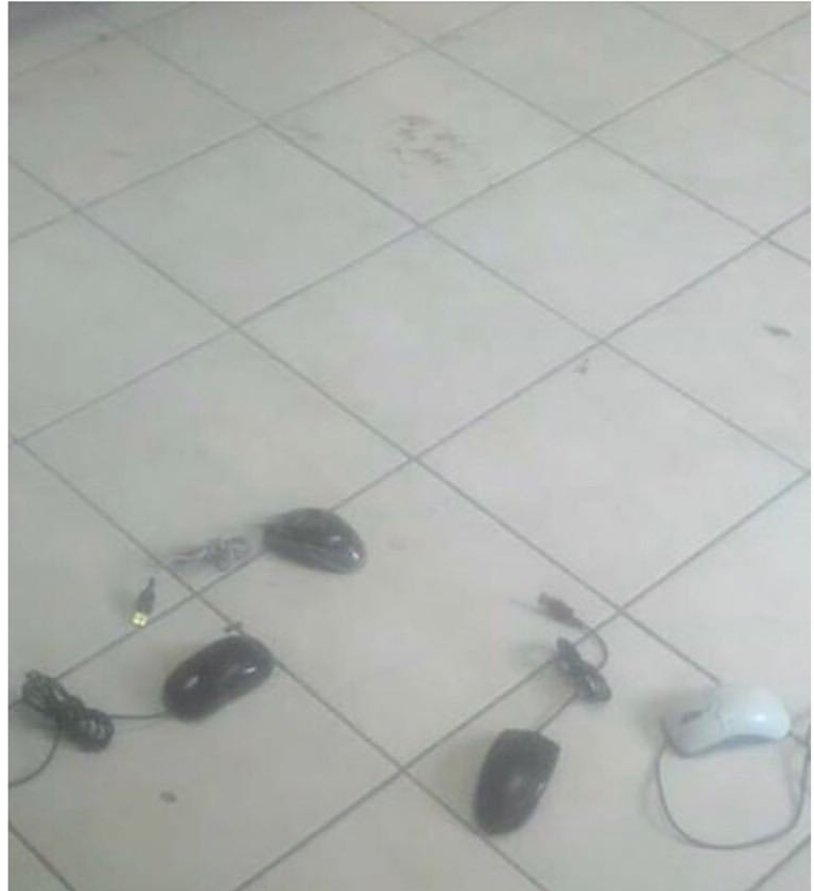 Bilgisayarcıda çalışıyorum dükkanı fareler bastı  önerebileceğiniz bi ilaç varmı?