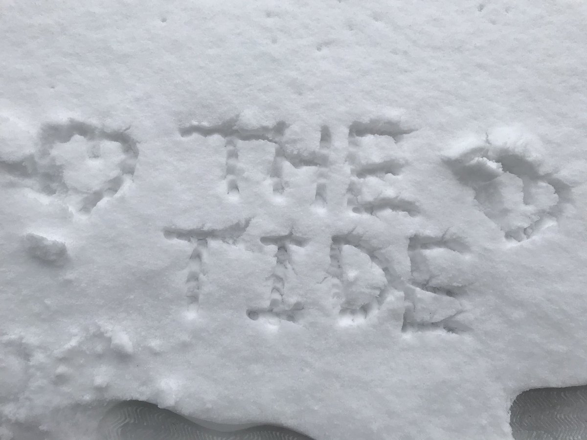 tideriho's tweet photo. I love @TheTide so much.xx
Please don't forget this❤️
@TheTideLevi @TheTideNate @TheTideDrew @TheTideNate https://t.co/O5YKgn6iop