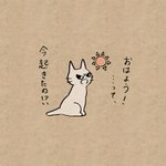 なんだかんだで面倒見がいい？昼まで寝ている人を叱ってくれる猫!