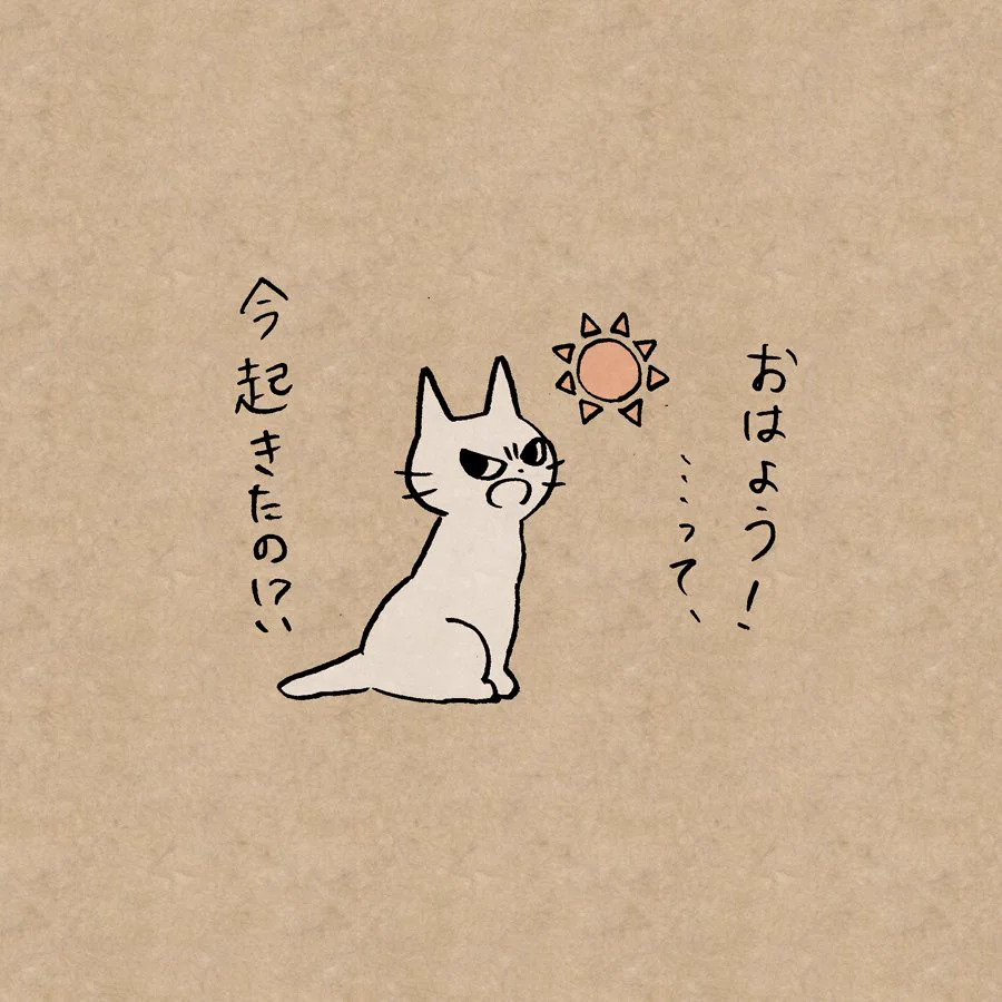 なんだかんだで面倒見がいい？昼まで寝ている人を叱ってくれる猫ｗｗｗ