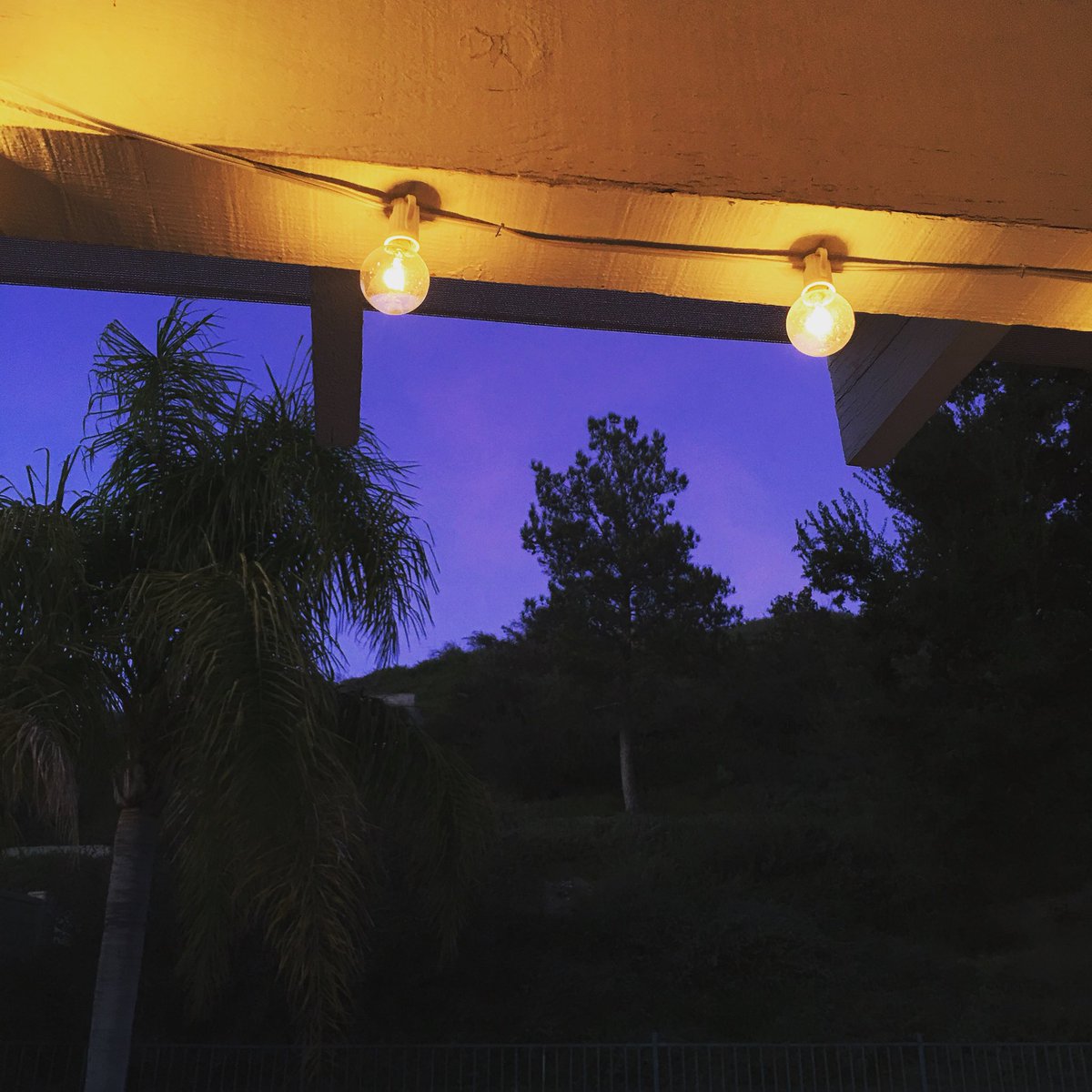 SnugTree's tweet image. 